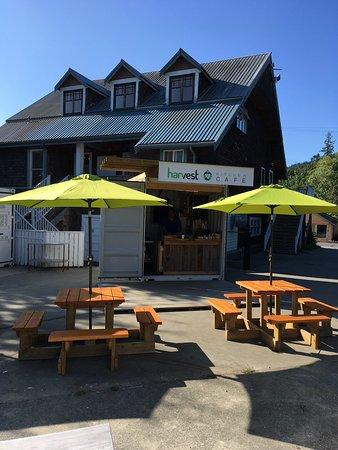 Harvest Kitchen Cafe