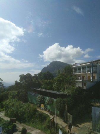 The Apple Inn Restaurant