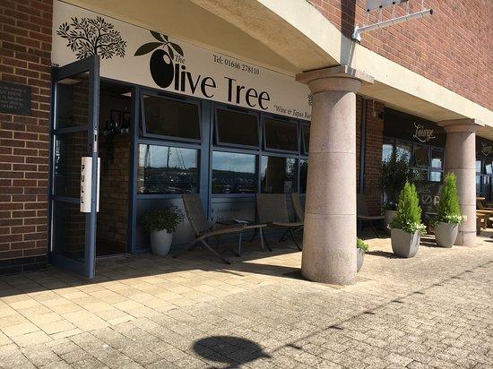 The Olive Tree