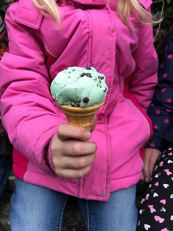 The Ice Cream Parlour