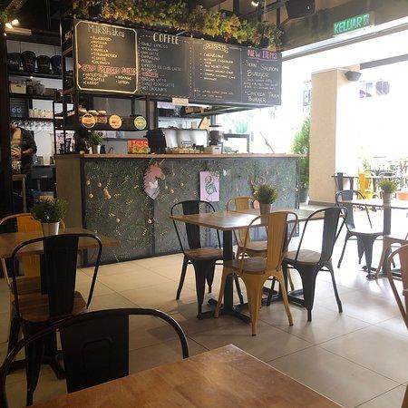 The Mossy Forest Cafe