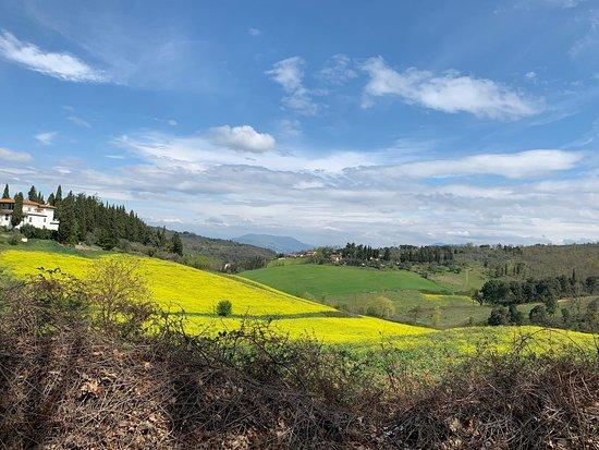 Foresto Forno a Legna