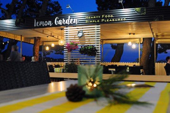 Lemon Garden