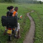 Pizzeria Il Caminetto