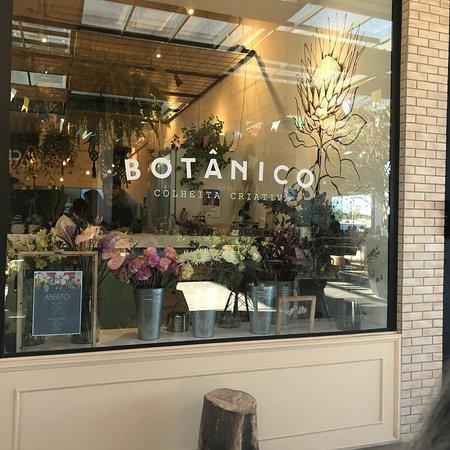 Botanico Colheita Criativa