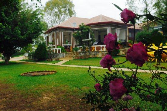 Restaurant Oasis of Peace