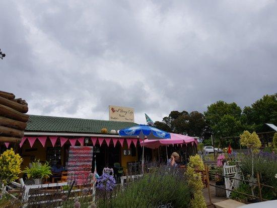 The Coral Breeze Cafe
