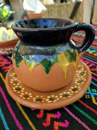 Iguana's Garden Sanctuary