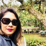 Gelateria Dom Giovani