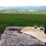 Pasticceria Bar Giubbini