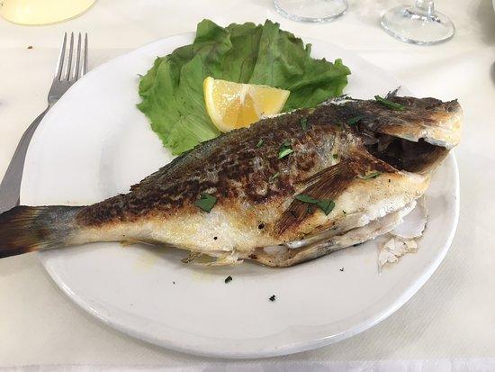 Garden Restaurant Pizzeria