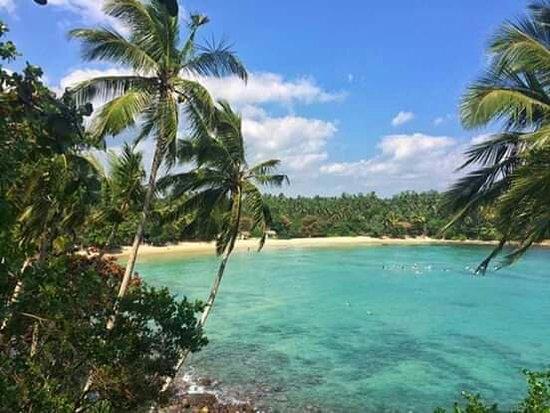 Fish Tales Hiriketiya