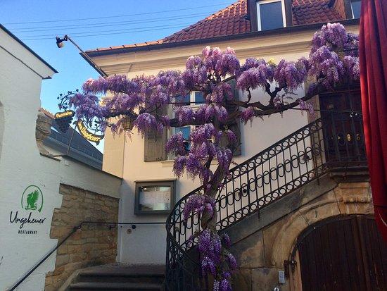 Restaurant Ungeheuer