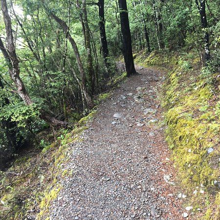 Brunner Peninsula Nature Walk