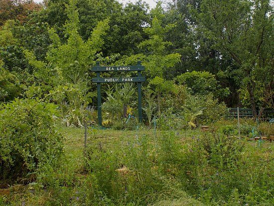 Rea Lands Public Park