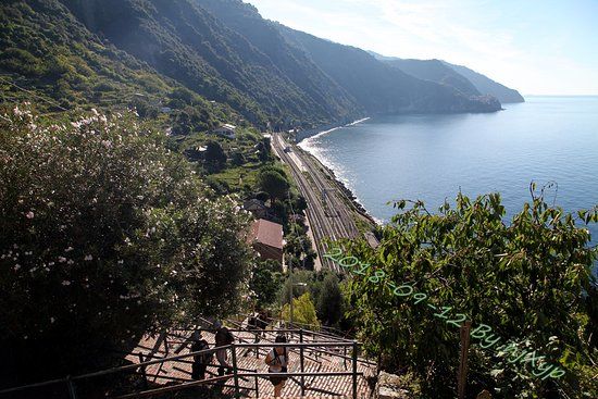 View Point Corniglia