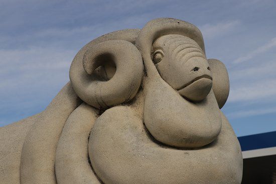 Omarama Sheep Statue