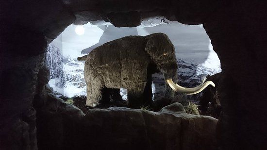 Amber Museum in Leba