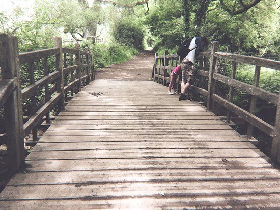 Pooh Sticks Bridge