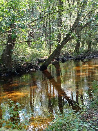 Browns Branch County Park