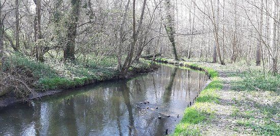 Vallée de L'automne