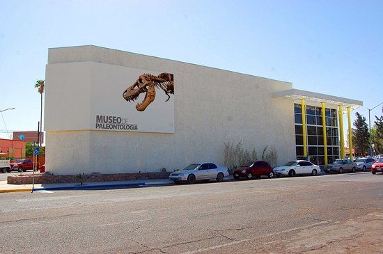 Museum of Paleontology