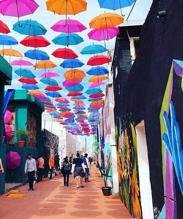 Bunka Callejon del arte