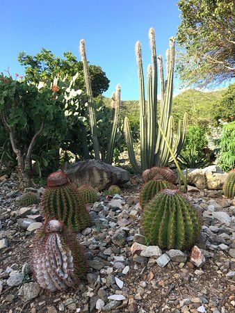 Jardin Botanique du Désert