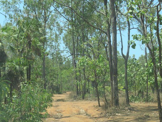 B-24 J Liberator Wreck Site