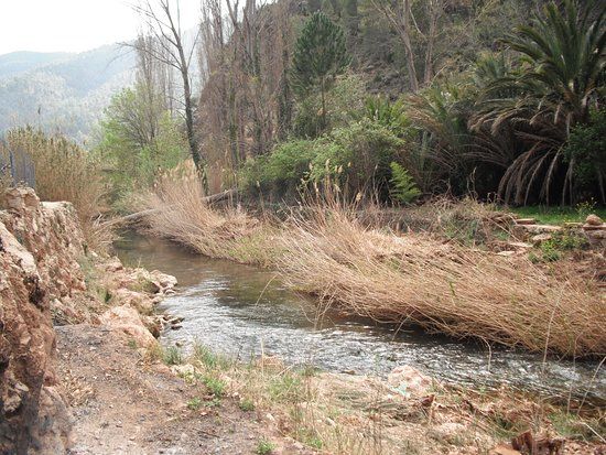 Ayuntamiento De Ayna