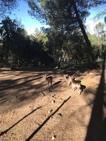 Parque Ecologico de Gouveia