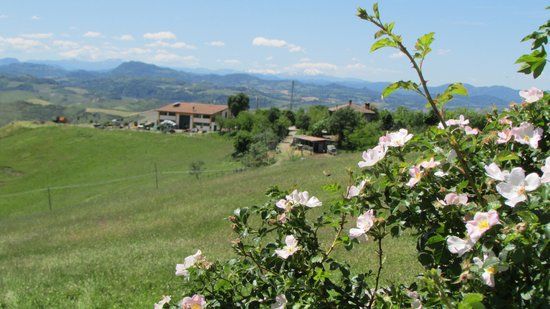 Osteria La Palazzina