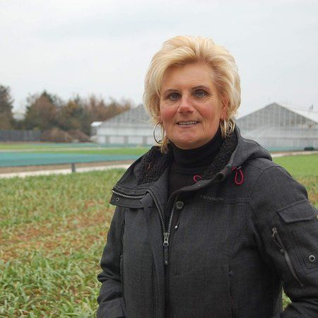 CoasTulip Experience