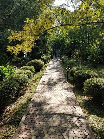 Periyar Tiger Reserve forest