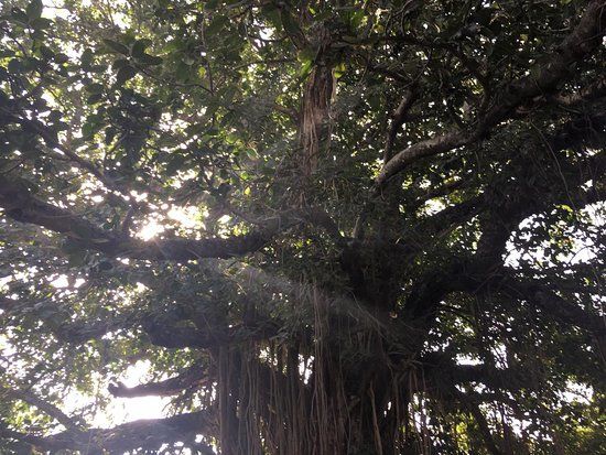 Gurdwara Sri Teer Garhi Sahib