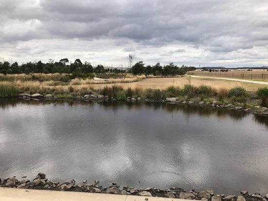 Firmins Lane Wetlands