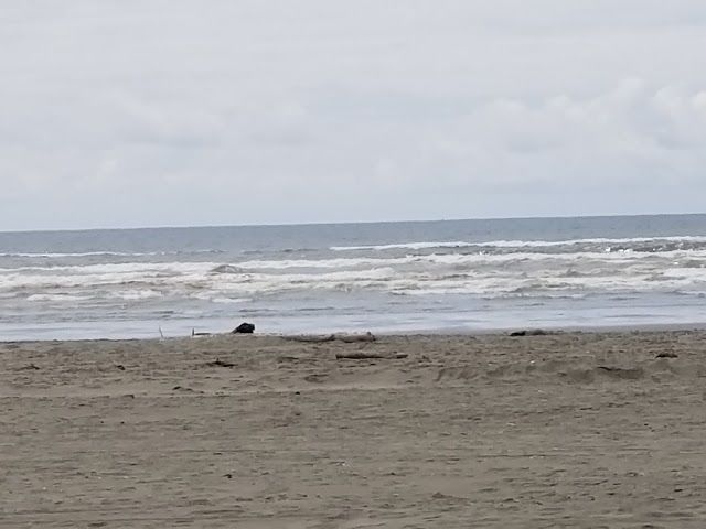 Ocean City State Park