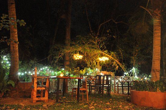 Namaste Jungle Restaurant