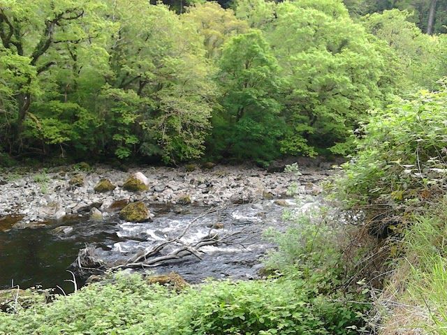 Avondale House & Forest Park