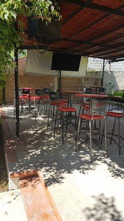 El Autentico Lagarto Jr