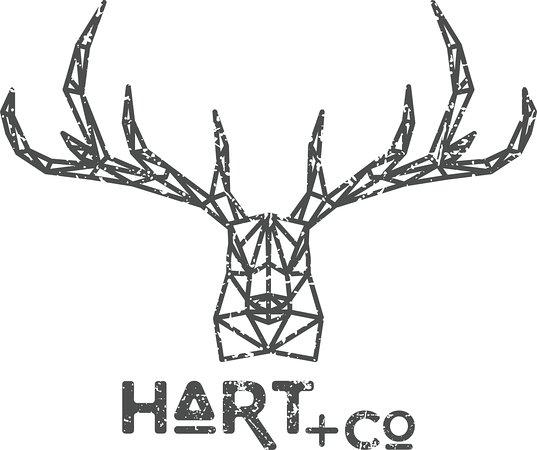 Hart + Co