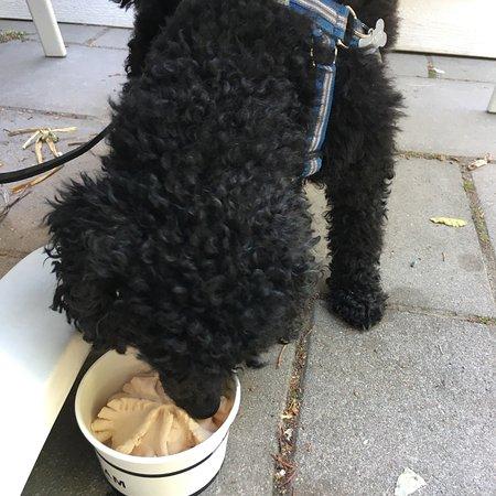 Kosterheds Konditori