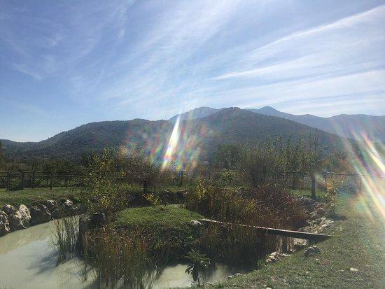 Ristorante dell'agriturismo La Sorgente