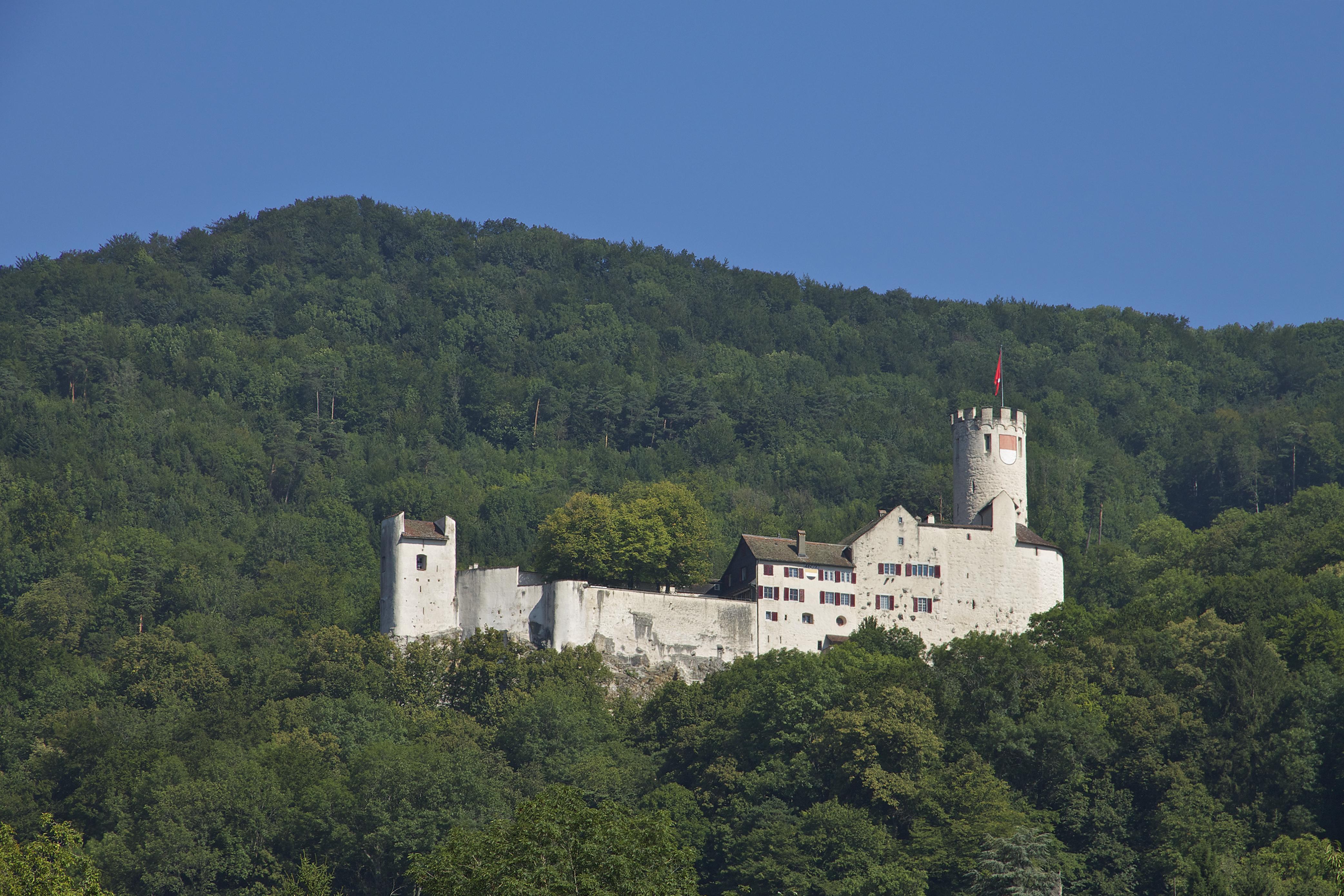Burg Neu-Bechburg