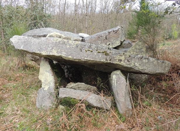 Dolmen du Bois de la Pidouciere