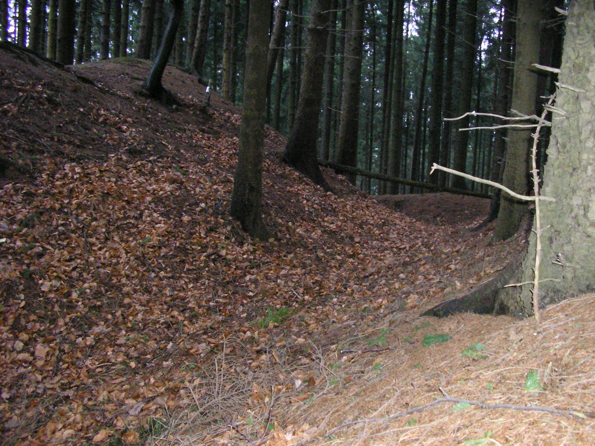 Meesenburg
