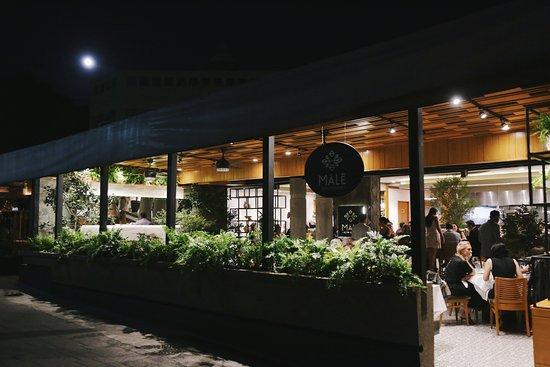 Male Bistro Mexicano