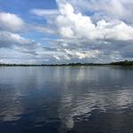 The Grape Restaurant