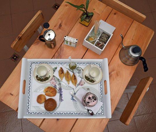 EntreVuelos Botanicos