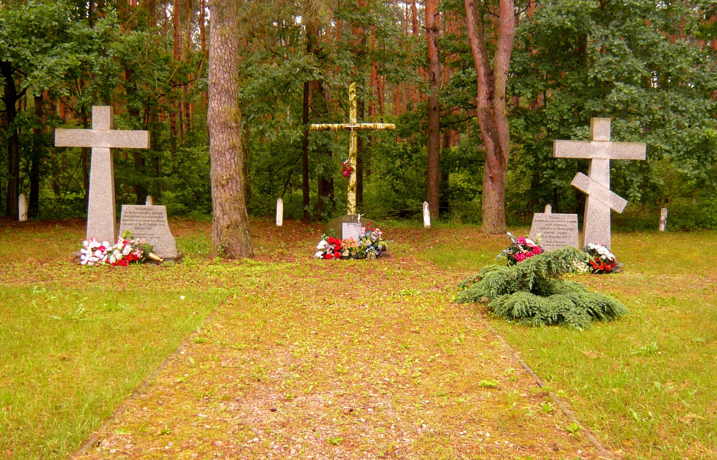 Cmentarz wojenny w Wysokim Kole